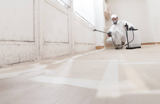 24/7 Emergency Commercial Mold Remediation experts in Bradley Beach, NJ
