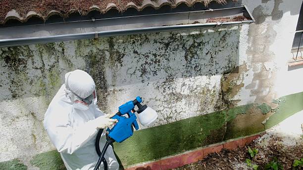Trusted Commercial Mold Remediation service in Bradley Beach, NJ - Cheap Mold Removal